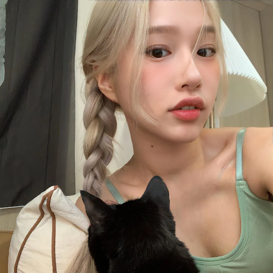 巅峰拍档第十四季