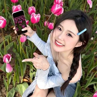 石纪元第四季